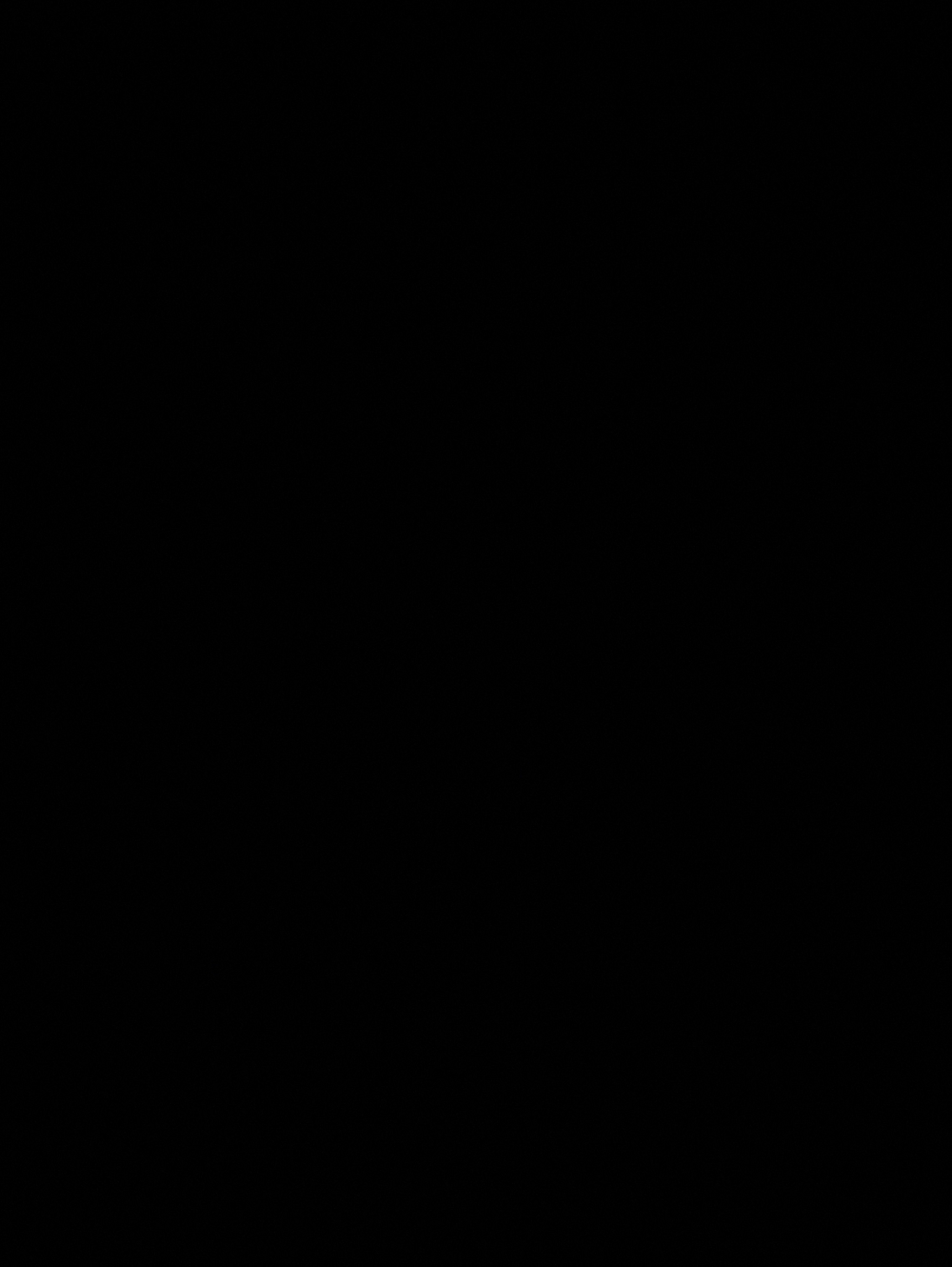 SOLD OUT! Alo Yoga Black Trucker Hat Logo Snapback NWT